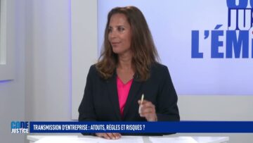 Attester de la valeur de son entreprise ou se prémunir en cas de recours après sa transmission ?